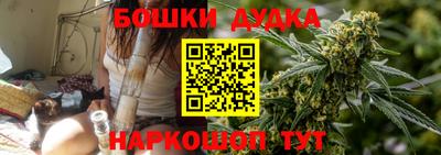 крисы Обь