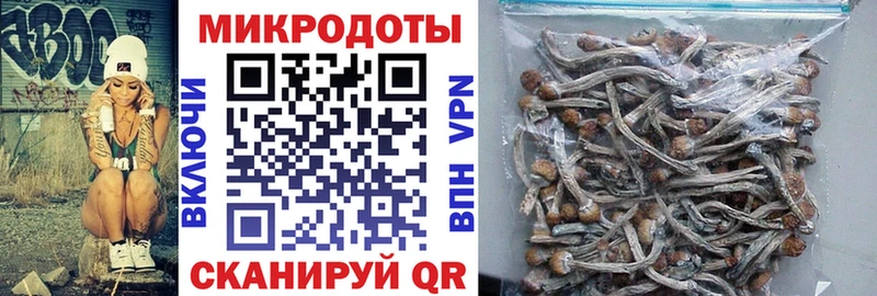 Галлюциногенные грибы GOLDEN TEACHER  Евпатория 