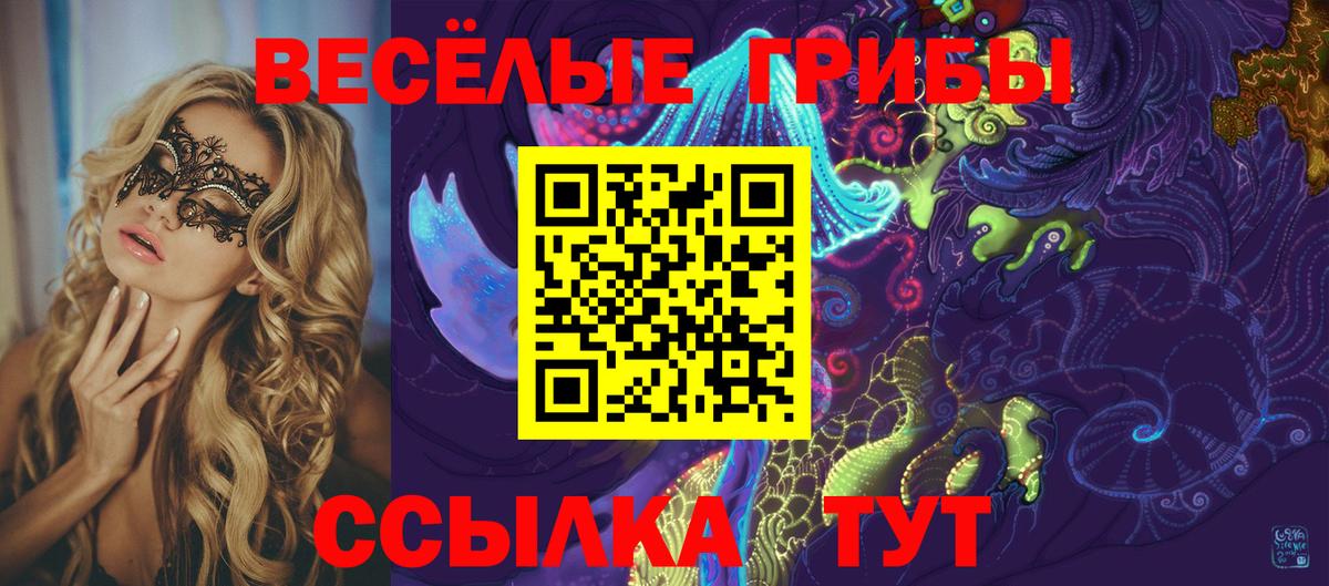 Евпатория  Псилоцибиновые грибы Psilocybine cubensis  Вход с VPN  Галлюциногенные грибы Magic Shrooms 